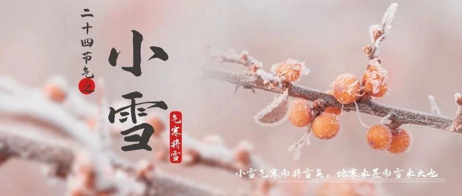 今日，小雪！